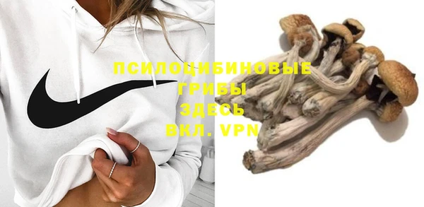 синтетический гашиш Костерёво