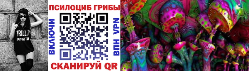 Купить где  Новый Уренгой  Псилоцибиновые грибы прущие грибы 